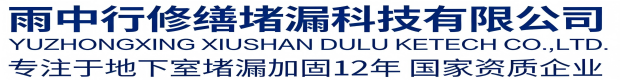 德州雨中行修缮堵漏科技有限公司